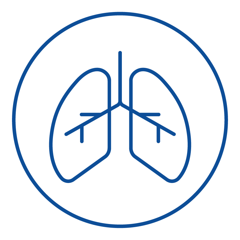 sistema respiratorio