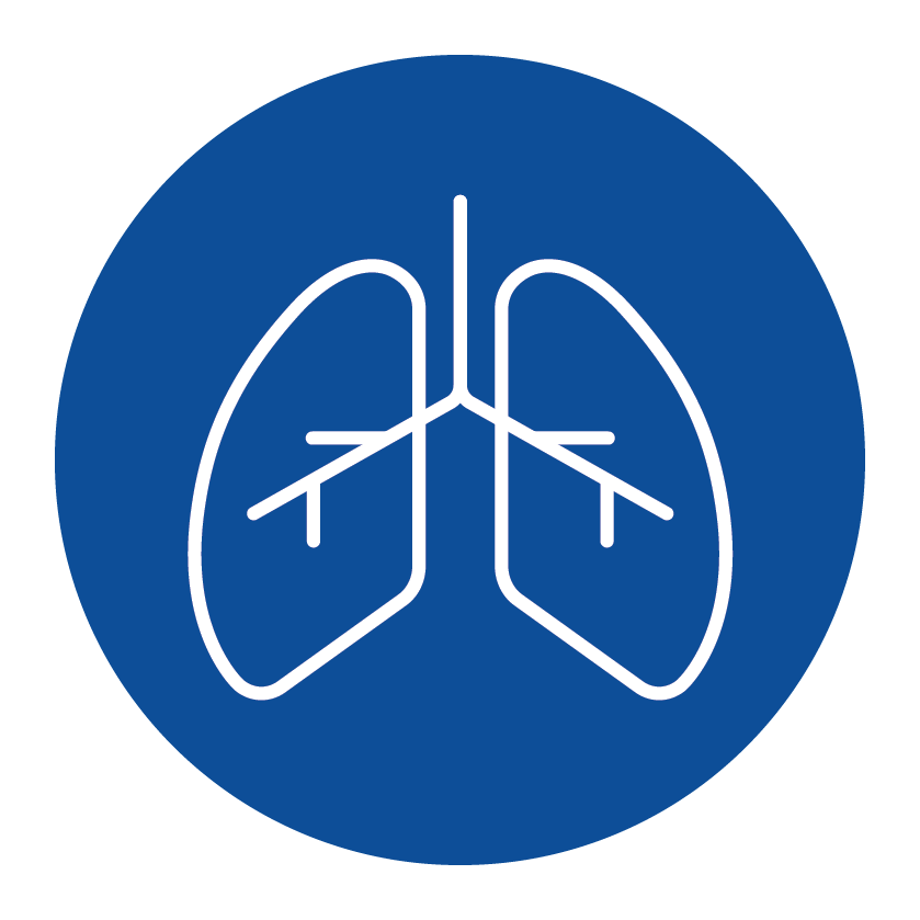 sistema respiratorio