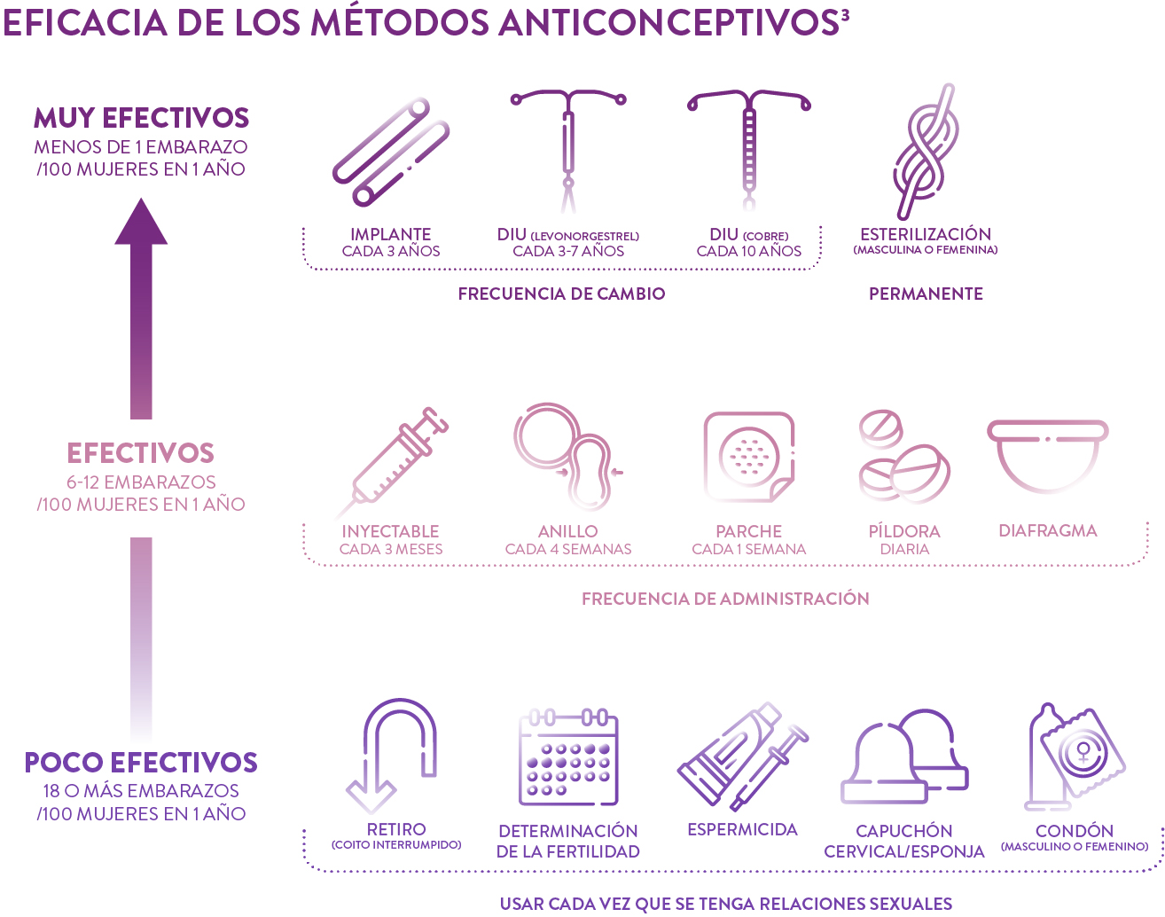 Imagen 3 Imagen 3