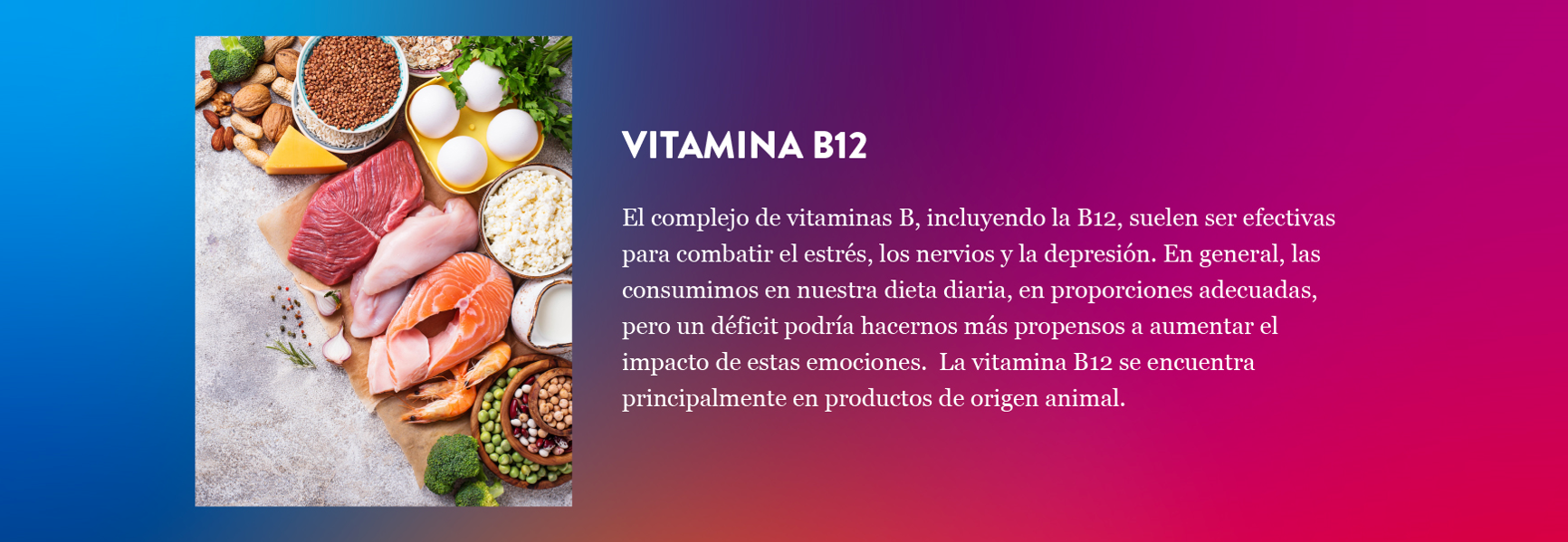 Vitamina b12 Vitamina b12